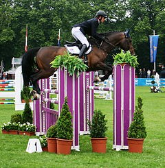 1. Parkúrové jazdectvo